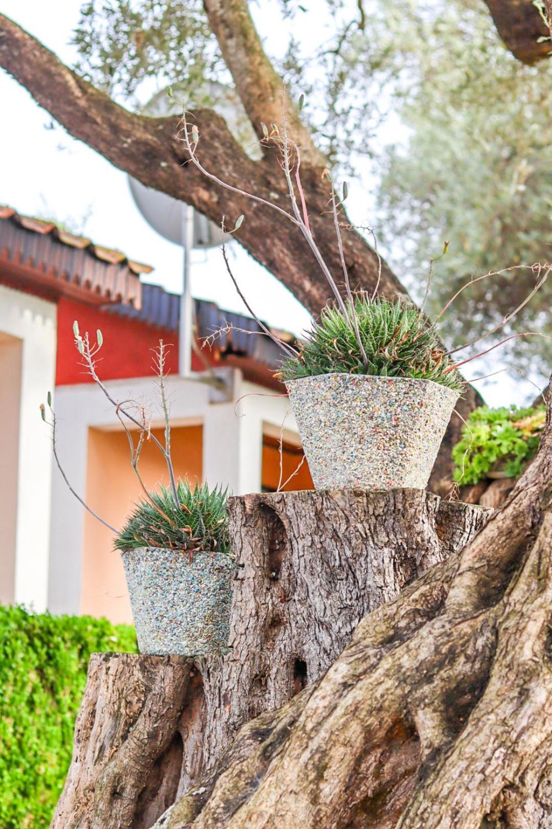 Hilja'S Oliven Garden Bungalows Ulcinj Exterior foto