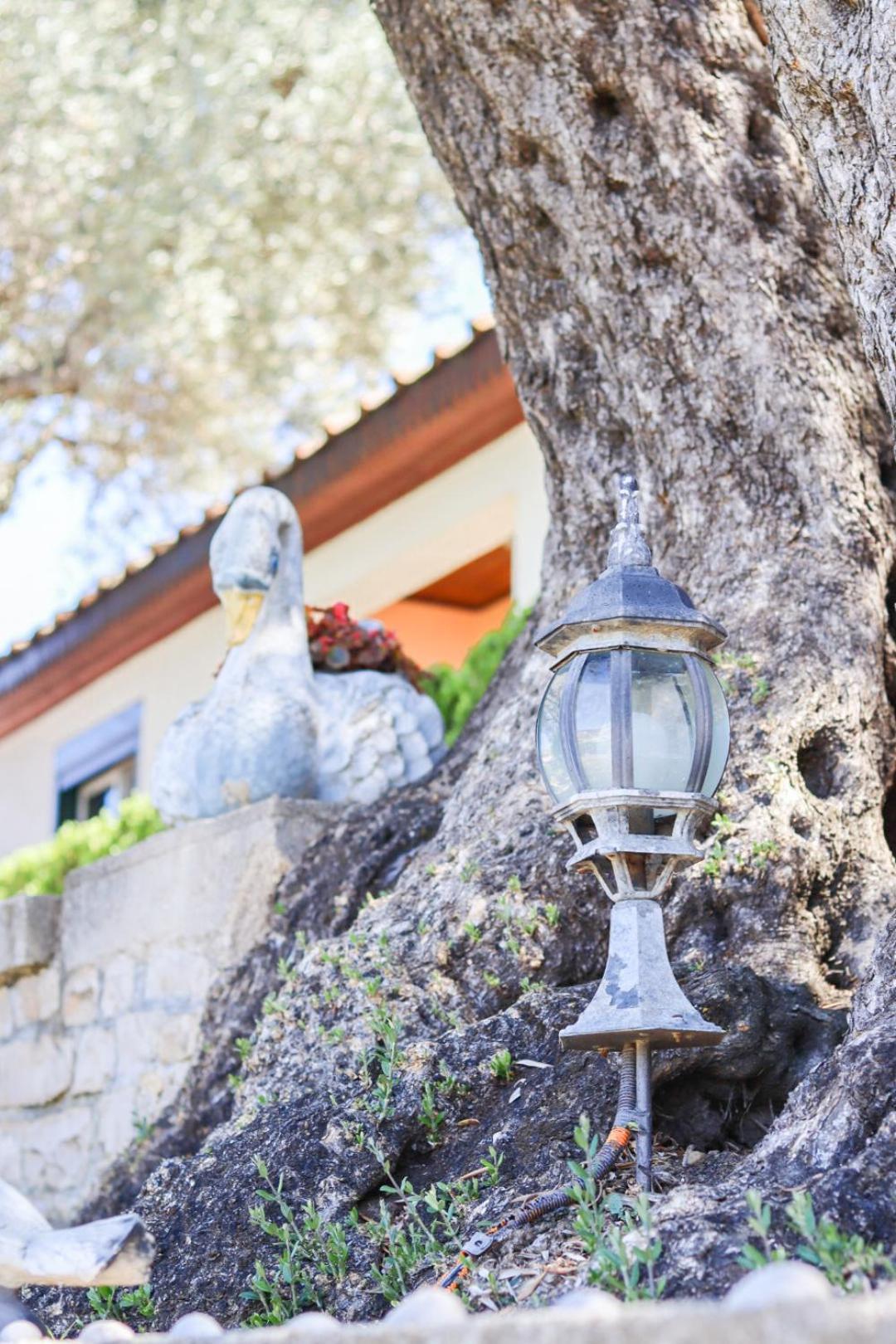 Hilja'S Oliven Garden Bungalows Ulcinj Exterior foto