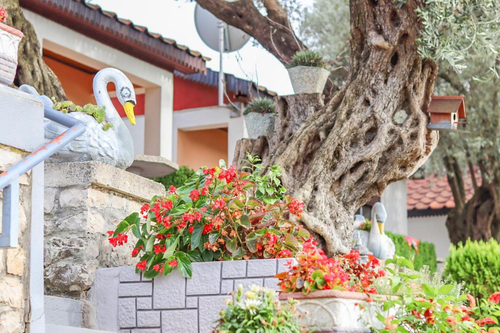 Hilja'S Oliven Garden Bungalows Ulcinj Exterior foto