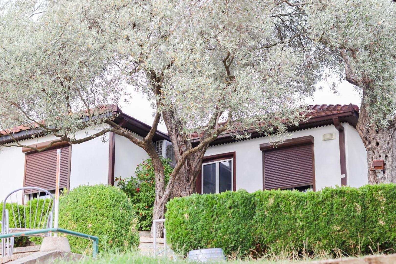 Hilja'S Oliven Garden Bungalows Ulcinj Exterior foto