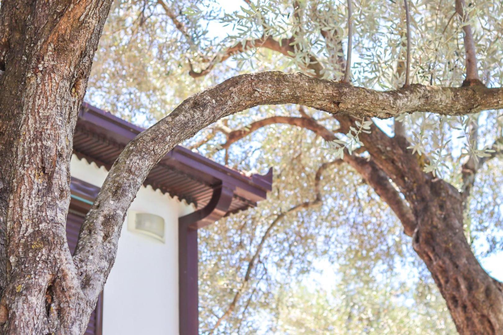 Hilja'S Oliven Garden Bungalows Ulcinj Exterior foto
