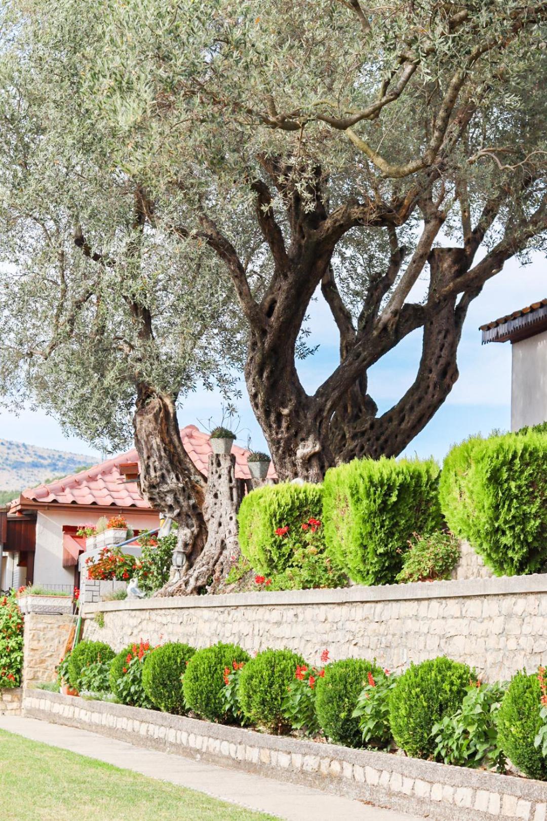 Hilja'S Oliven Garden Bungalows Ulcinj Exterior foto