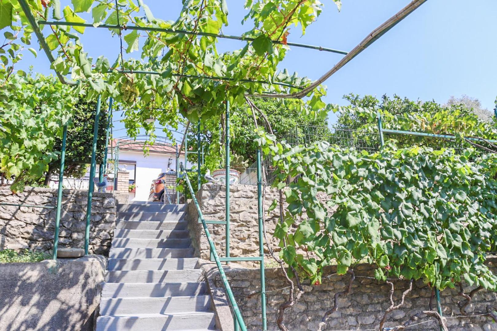 Hilja'S Oliven Garden Bungalows Ulcinj Exterior foto