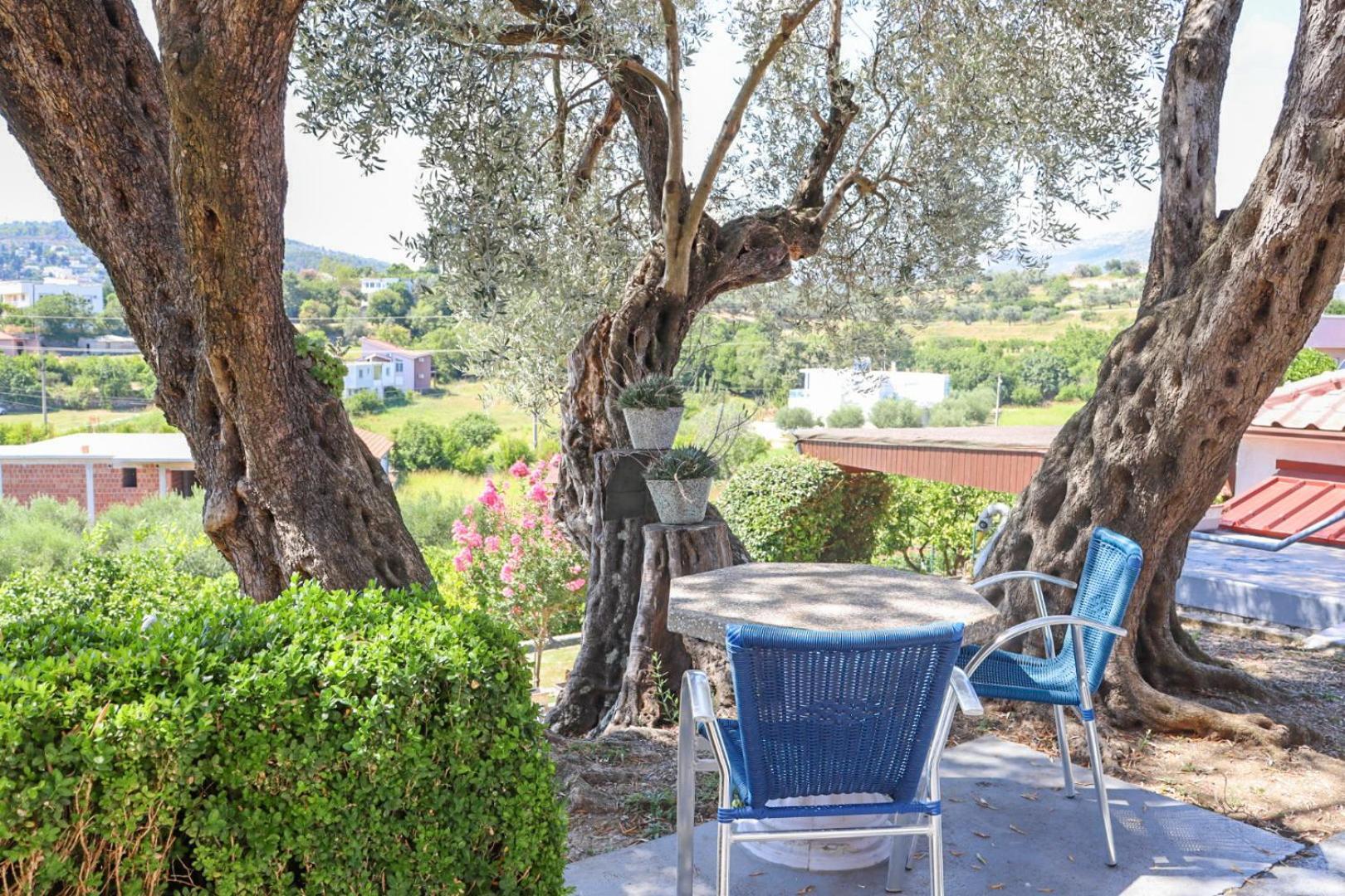 Hilja'S Oliven Garden Bungalows Ulcinj Exterior foto