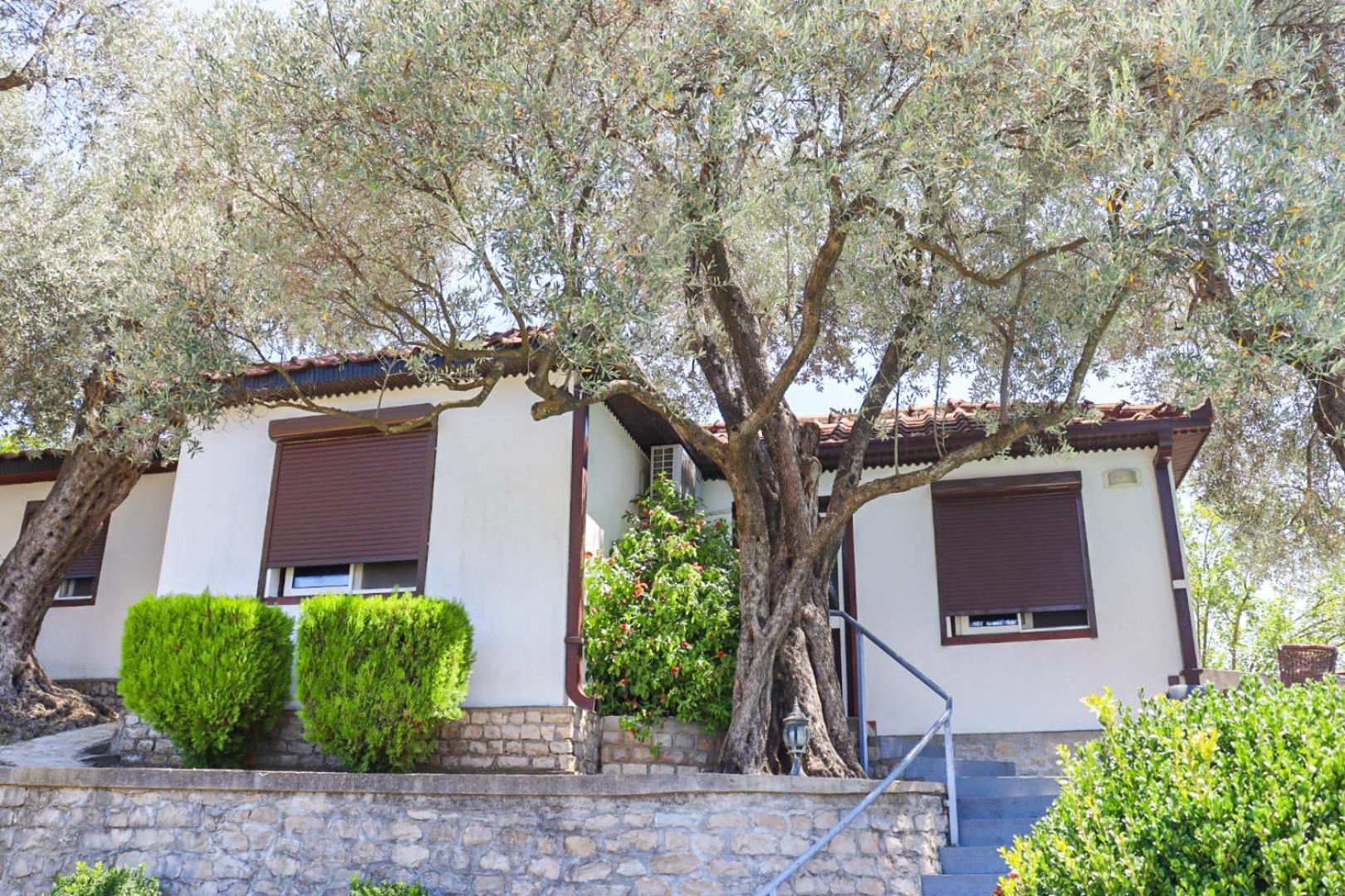 Hilja'S Oliven Garden Bungalows Ulcinj Exterior foto